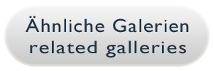 related galleries